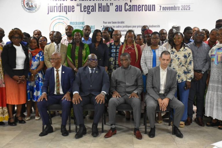 WhatsApp Image 2025-11-09 at 10.46.39