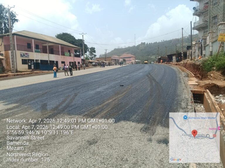 7cd975f7-b021-42ee-be3b-a1e49fc8fc64